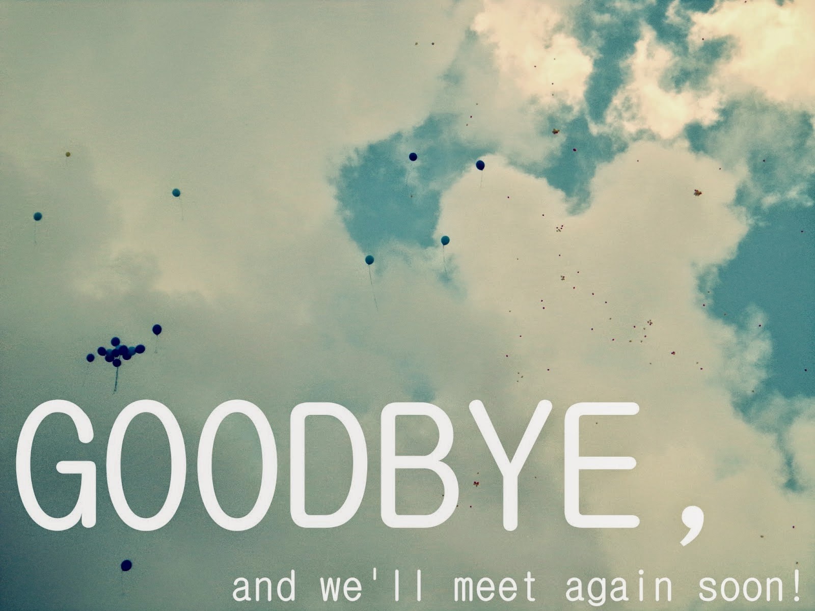 Mein Auslandsjahr in den USA Meine Abschiedsparty