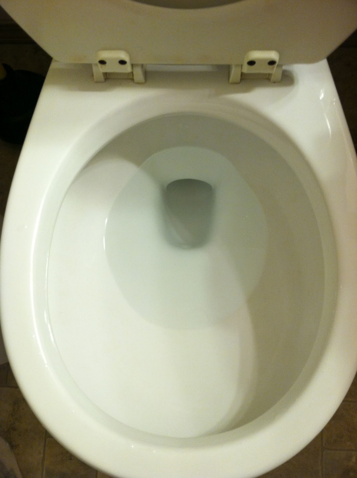 One Lucky Pickle Potty Mouth