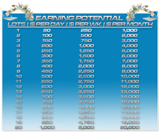 forex 5 pips per day