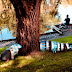 Projeto Fishing: o design em local público