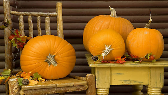 Free HD Thanksgiving Wallpapers for iPhone 5 and iPod ...