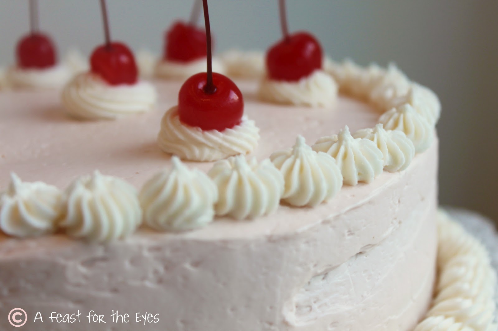 Cherry Vanilla Cake with Swiss Meringue Buttercream Frosting A Feast
