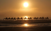 Not your typical Cable Beach sunset! (camels )