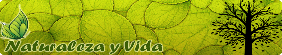 Naturaleza y Vida