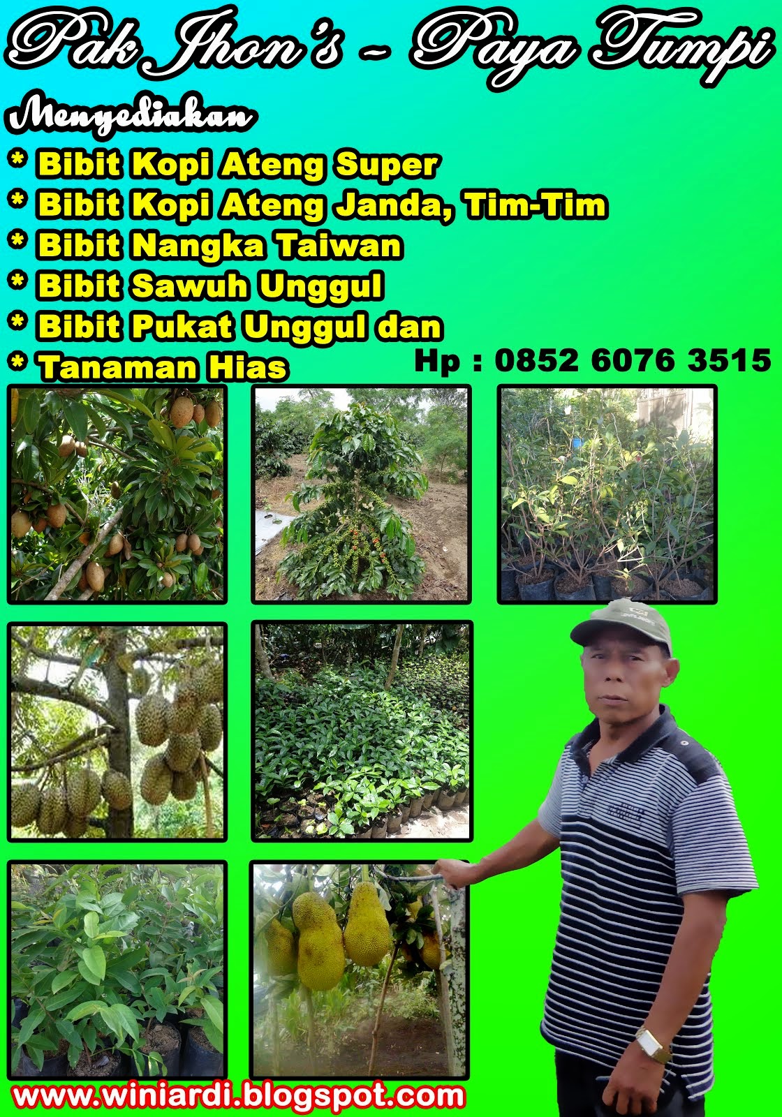 MENJUAL ANEKA TANAMAN HIAS