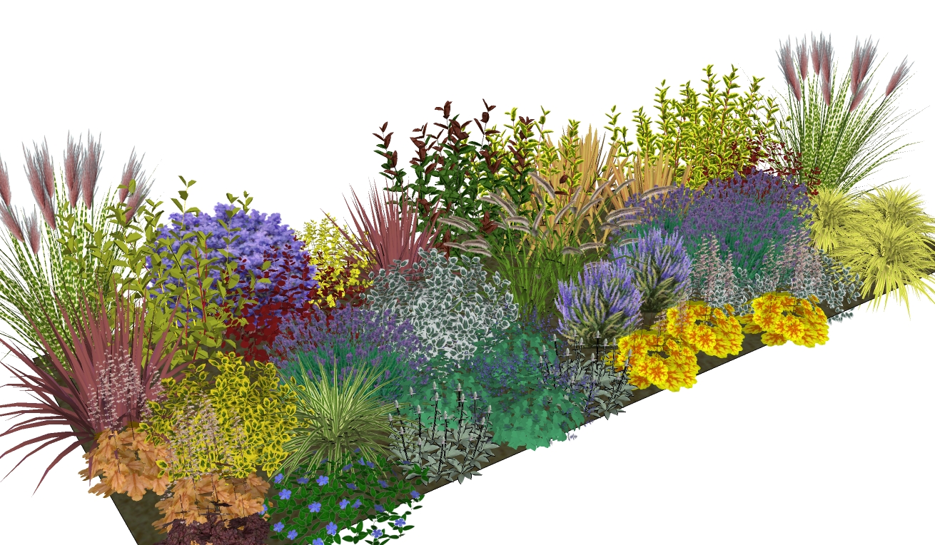 Simply Borders plants & plans in the post