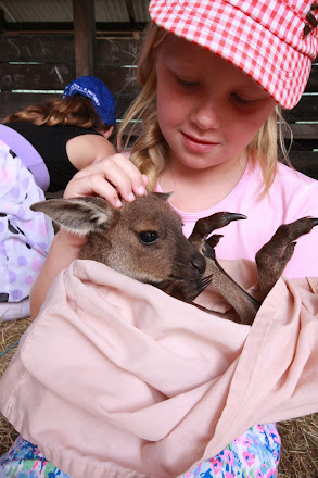 joey busselton