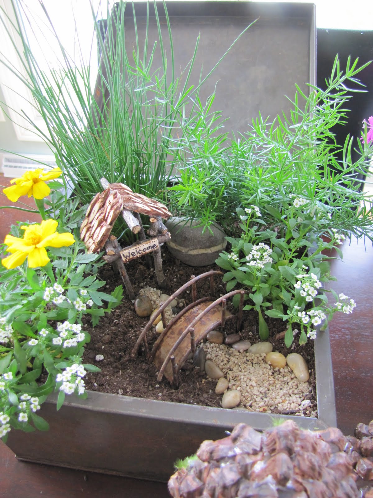 Fancilicious Fairylands Fairy Gardens and Gypsy Carvan Gardens for Sale!