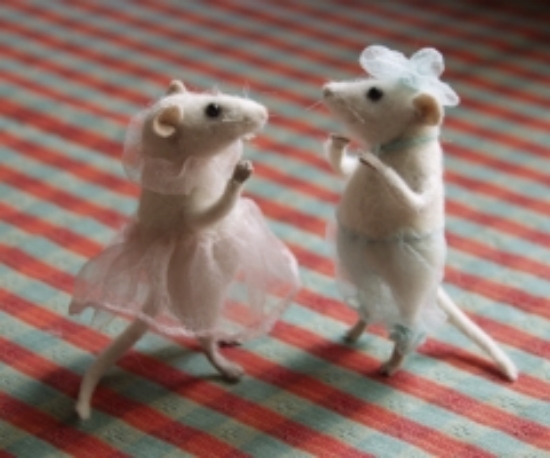 Funny Mouse Animas Wallpapers 2012 | Funny World