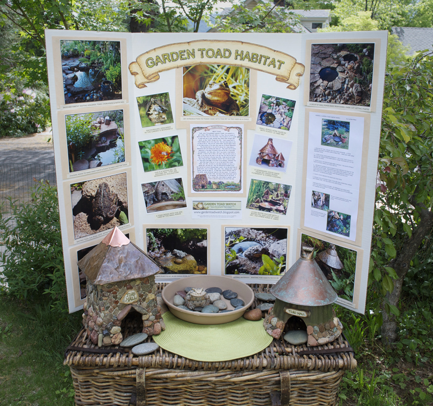 Willodel MAKING A GARDEN TOAD HABITAT TUTORIAL