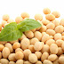 What are the health benefits of soy?