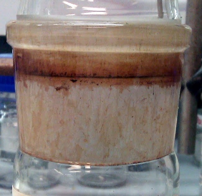 Curly Arrow Let's Talk About TLCs Part 5 Iodine Stain