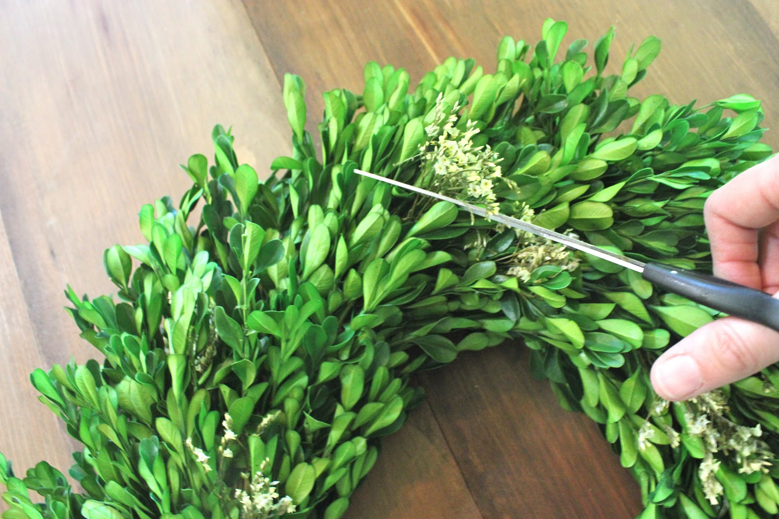 Preserved Boxwood Wreath at Tarjay! forever*cottage