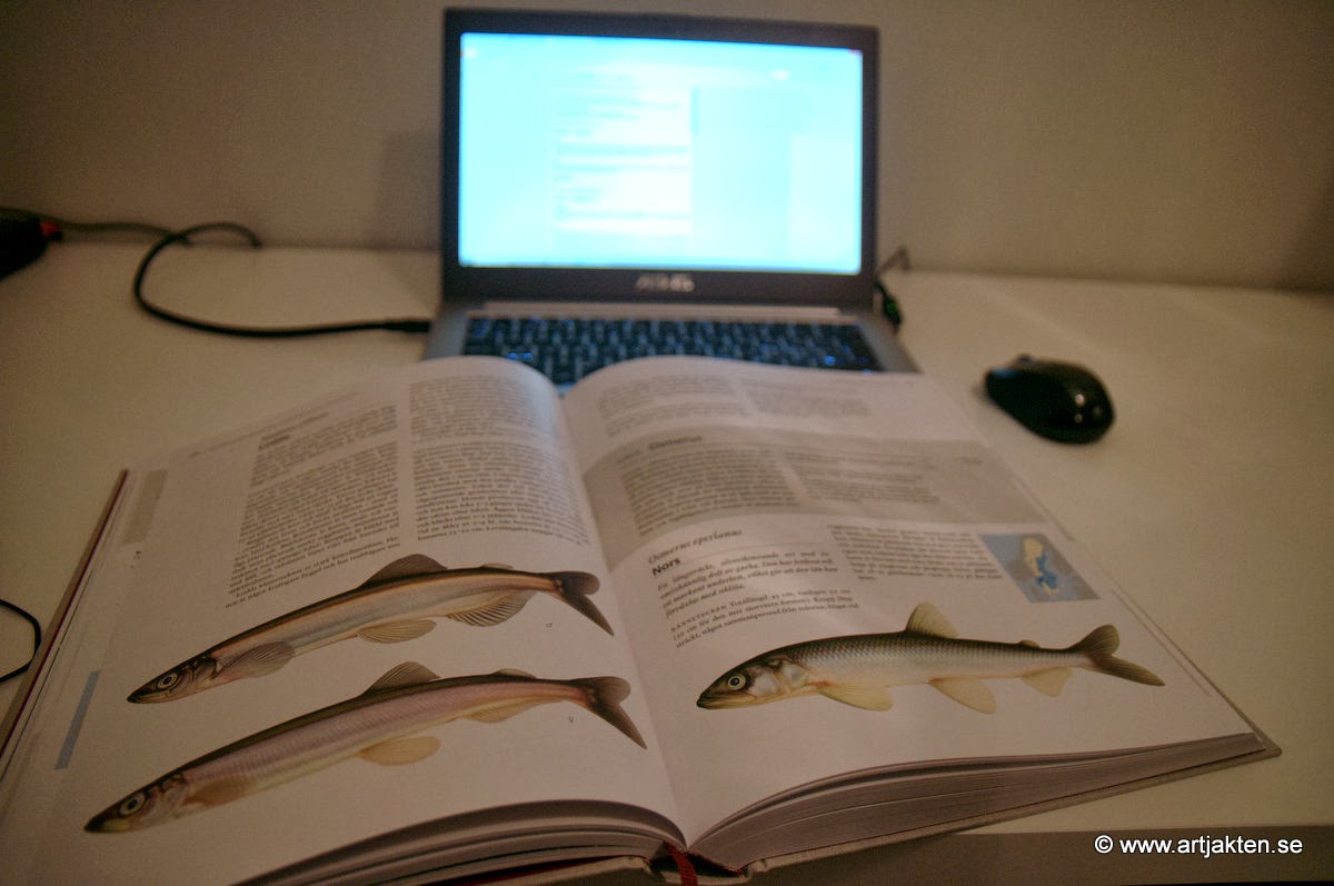 dejta 19 åring väga