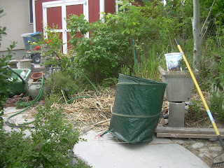 Genius Cafe: Our latest project, a backyard putting green!