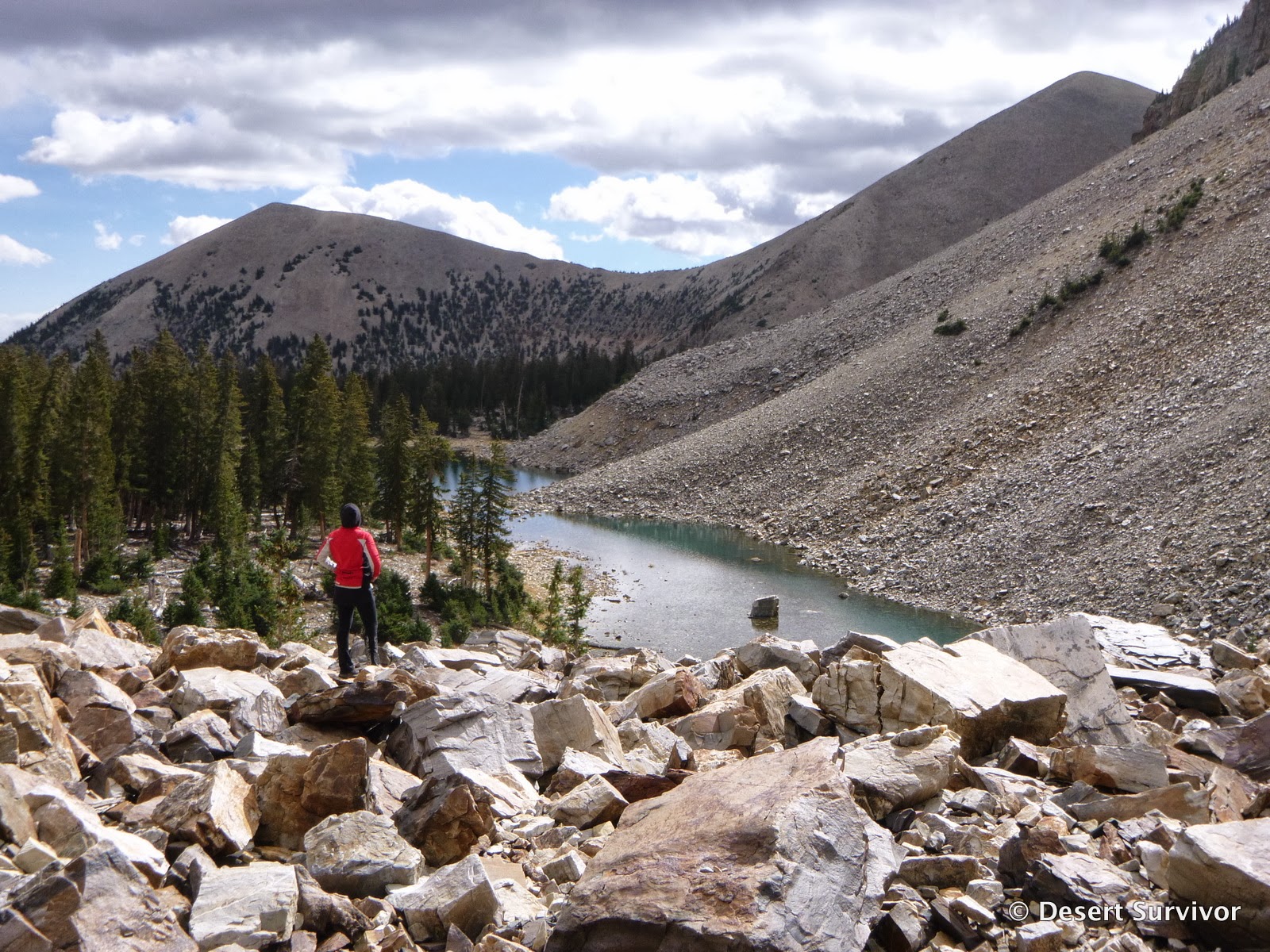 Desert Survivor Hike to Baker Lake in Great Basin National Park