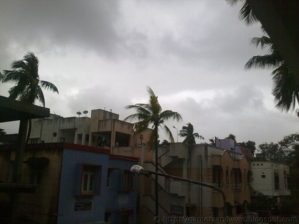 Trees during the cyclone nilam