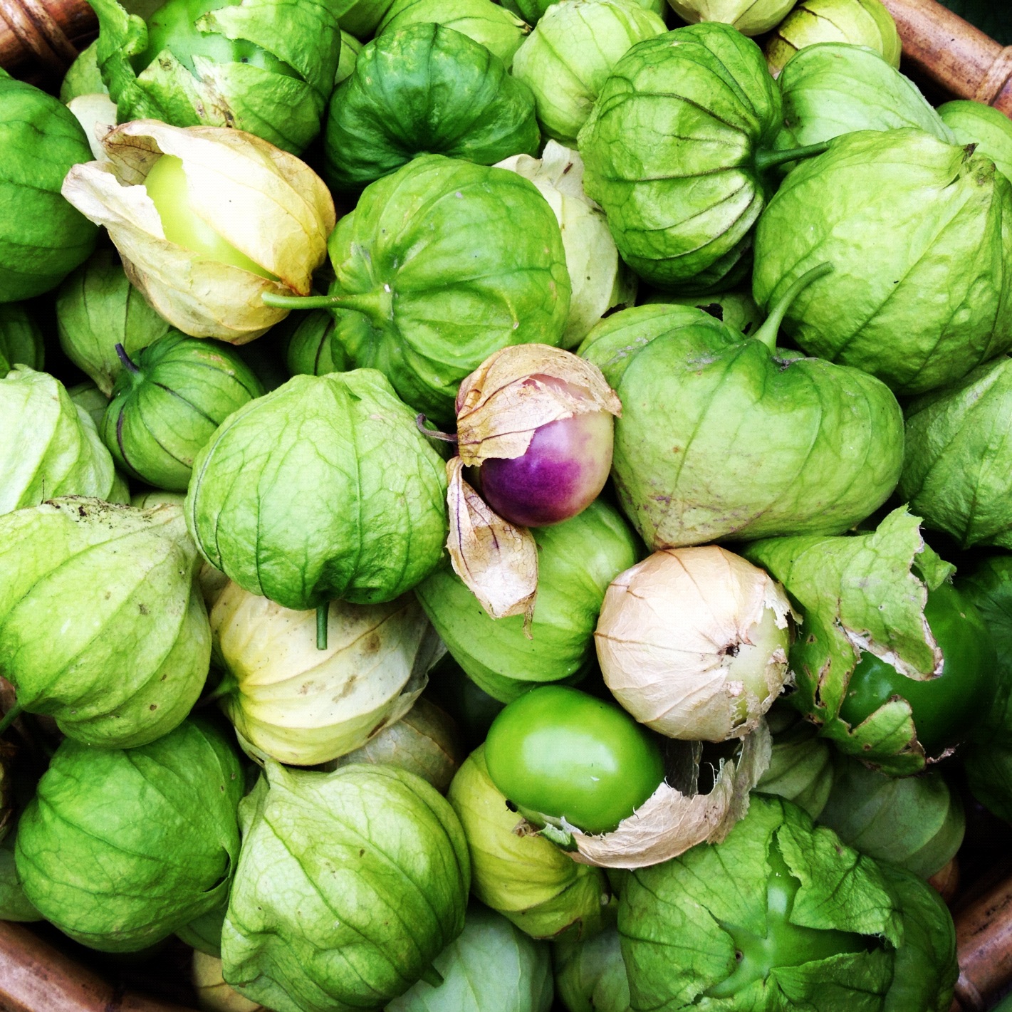 Provenance Growers Tomatillo salsa