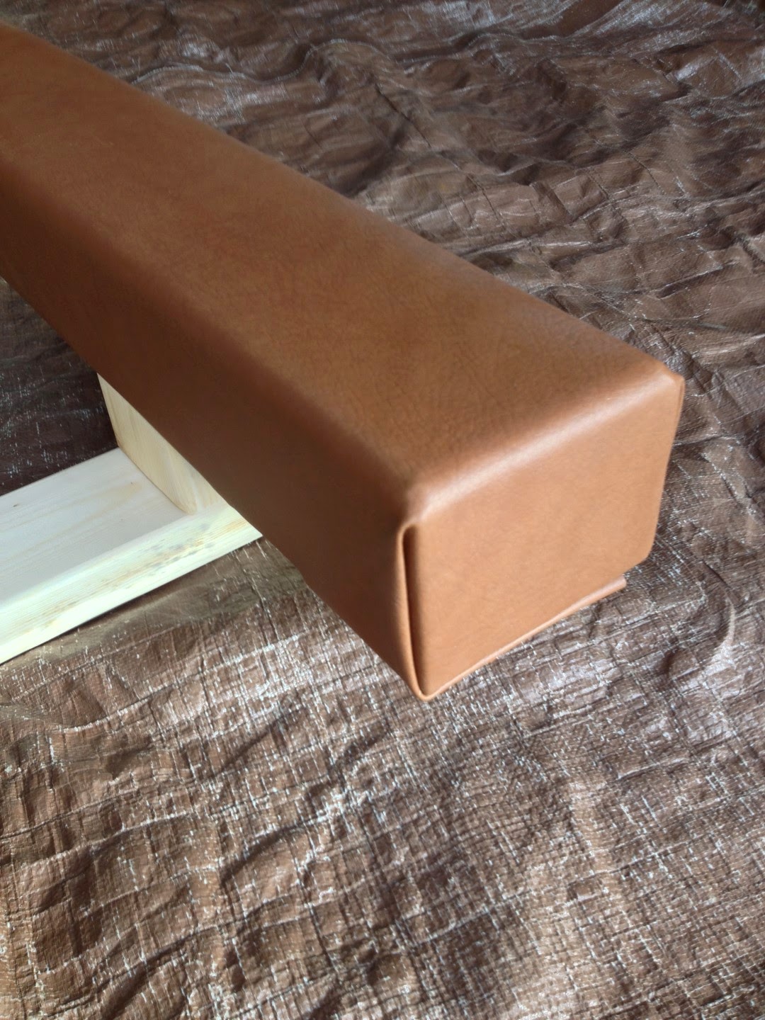 Life of Gregory D Balance Beam