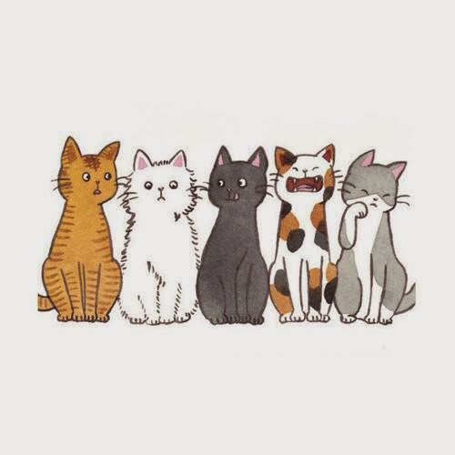 Cats ♡