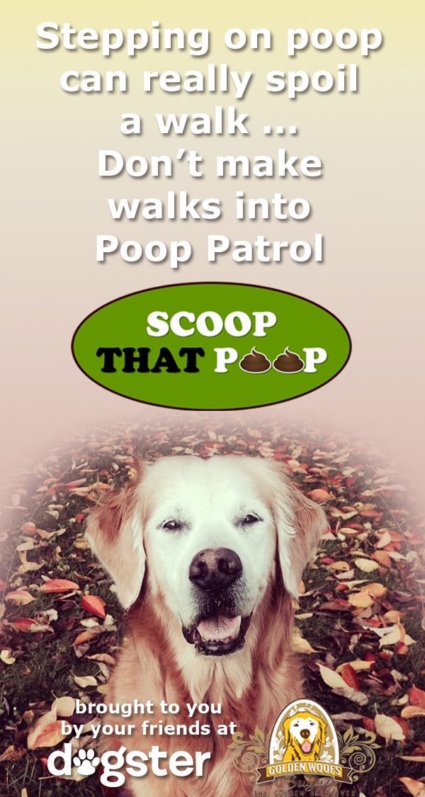 ScoopThatPoop Mission Poop Patrol Oz the Terrier Lifestyle Dog Blog