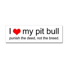 Pit Bulls