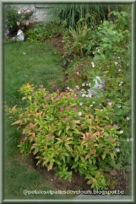 Vegetal Art La Minute Jardin Sur France Bleu Berry Societe D