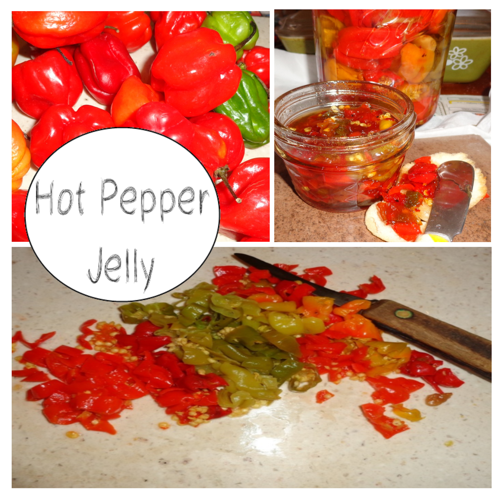 Old New England Recipes Habanero Hot Pepper Jelly Hot Stuff