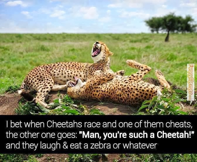 man+youre+such+a+cheetah.jpg
