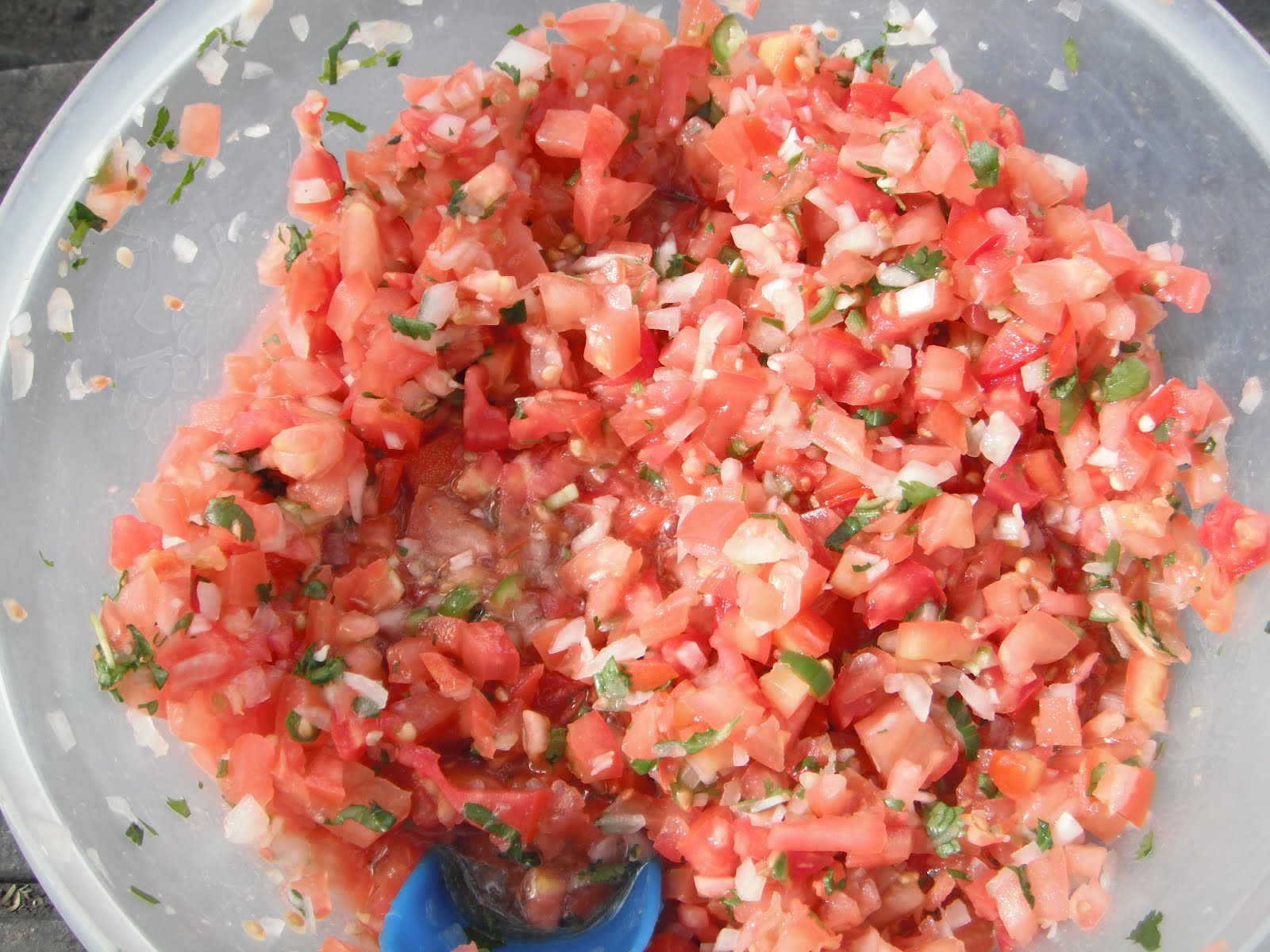 caldo michi