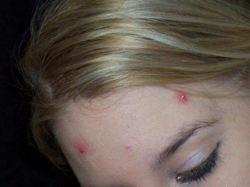 haus tgrundstueck in eutin kaufen