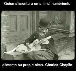 Charlin Chaplin (mensaje)