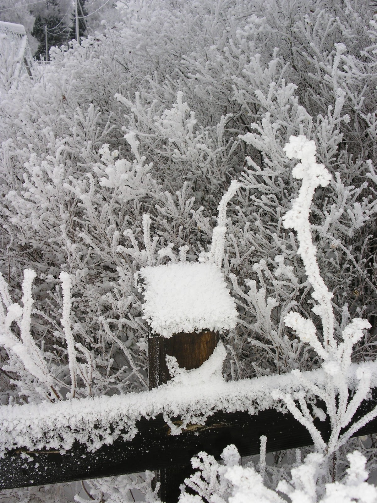 Utsikt från mitt fönster: januari 2012