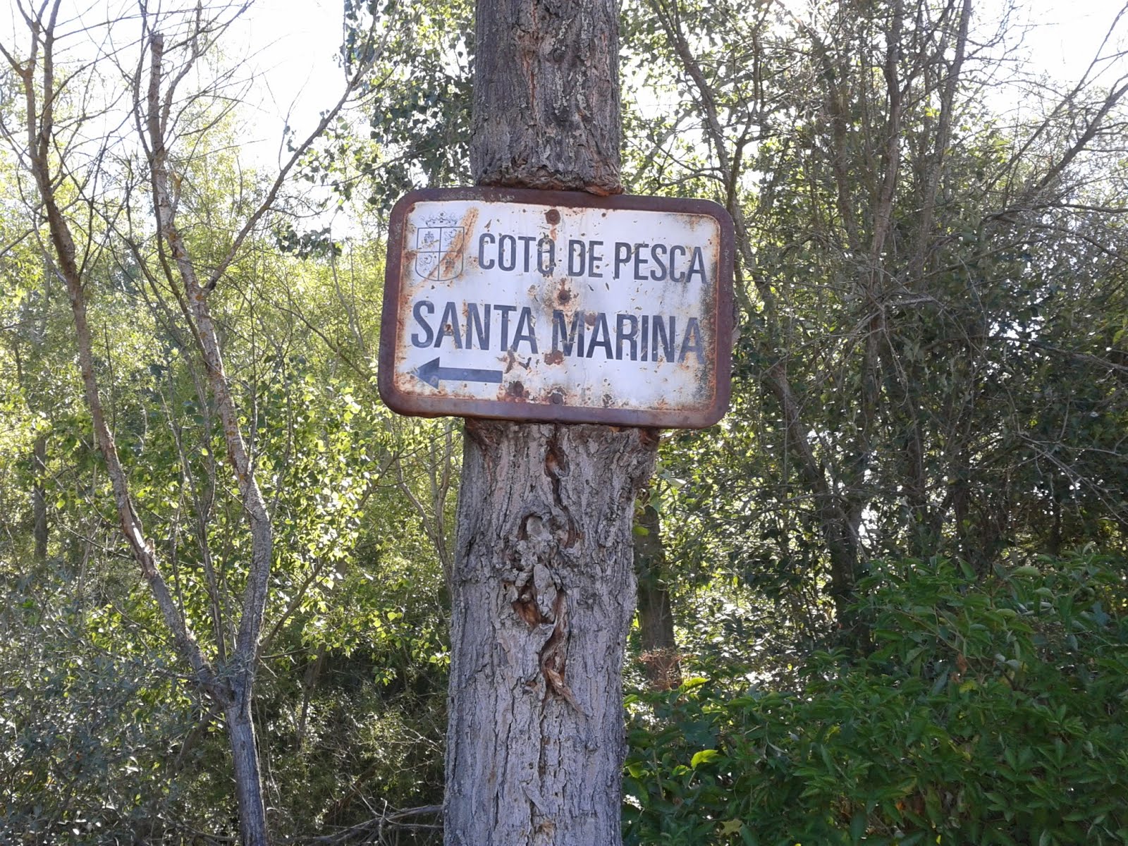 HISTORIA DE UN DÍA DE PESCA EN EL E.D.S. DE SANTA MARINA DEL REY.