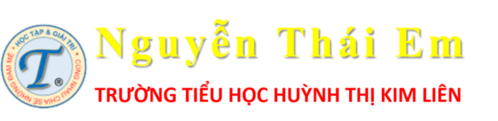 Nguyễn Thái Em 