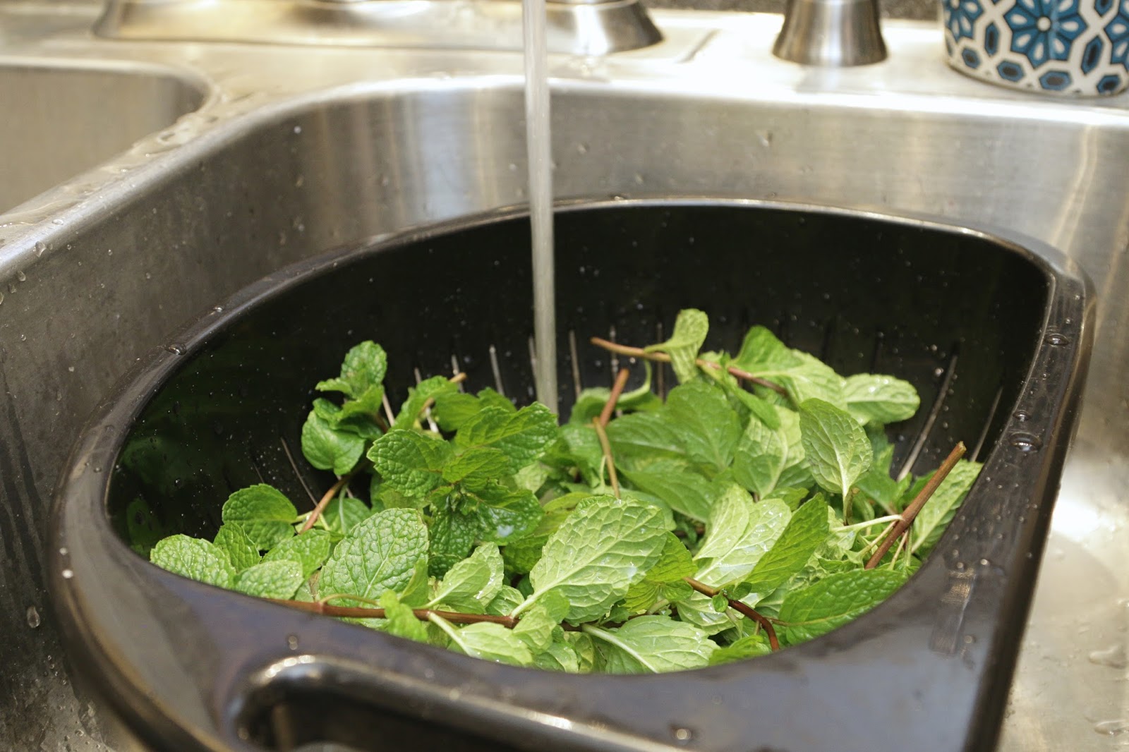 Blackberry Morning Homemade Extracts Vanilla and Mint