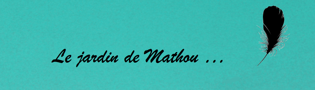 Blog Le jardin de Mathou