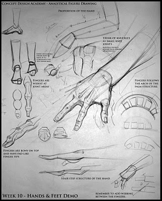 First Year Studio Analytical Figure Drawing