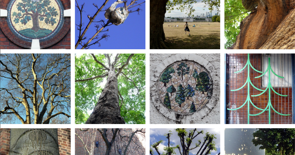 Jane's London Trees for Cities