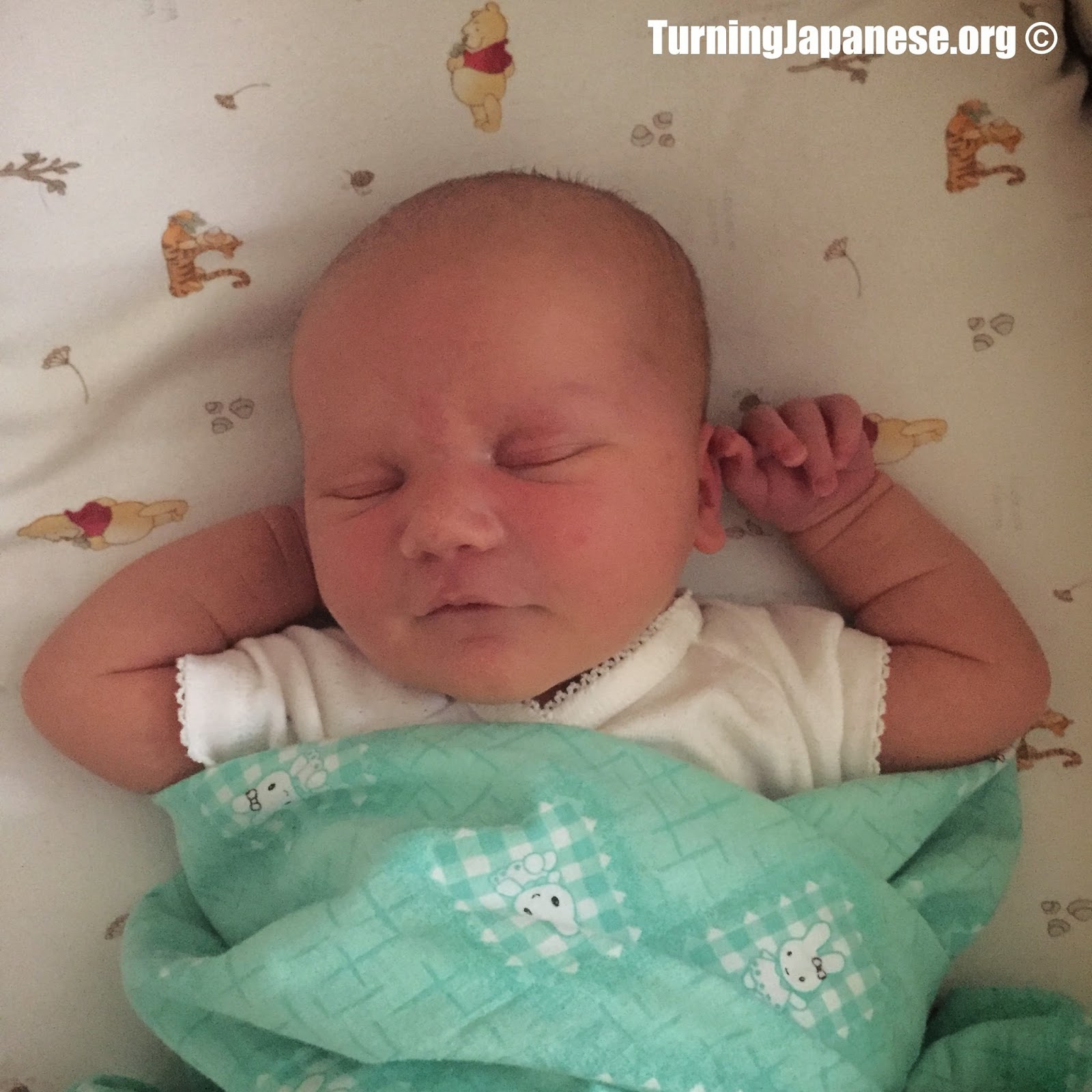 How do tell the difference between NOSE (hana, はな, 鼻) and FLOWER (hana