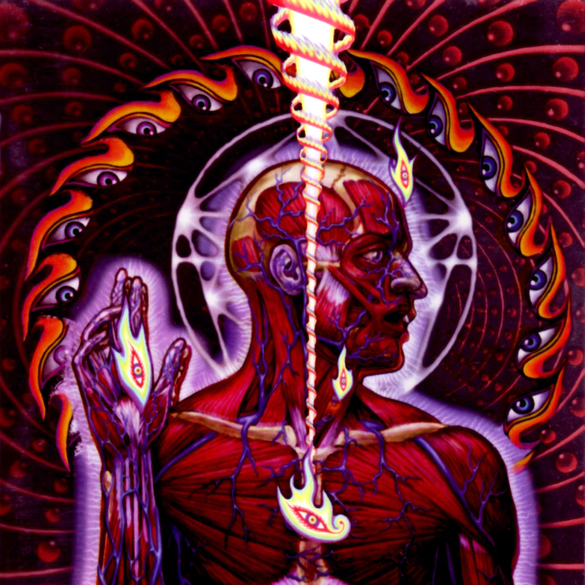 Tool - Lateralus - YouTube