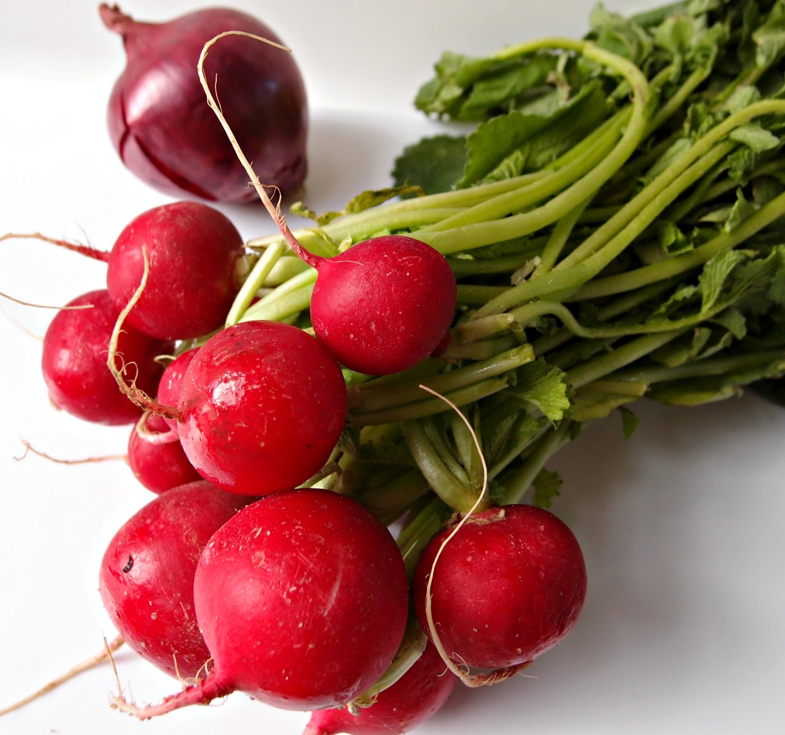 Milk and Honey Radish and Red Onion Pickle