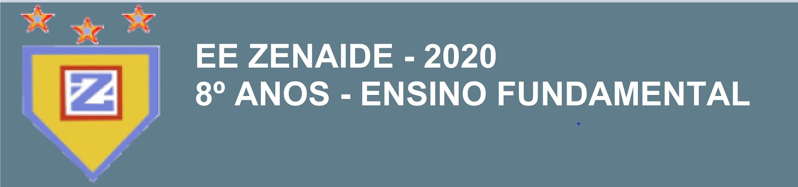 EE ZENAIDE - 2020 - 8º ANOS - ENSINO FUNDAMENTAL