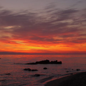 Herr Schnecke Unterwegs Und Auf Reisen 2015