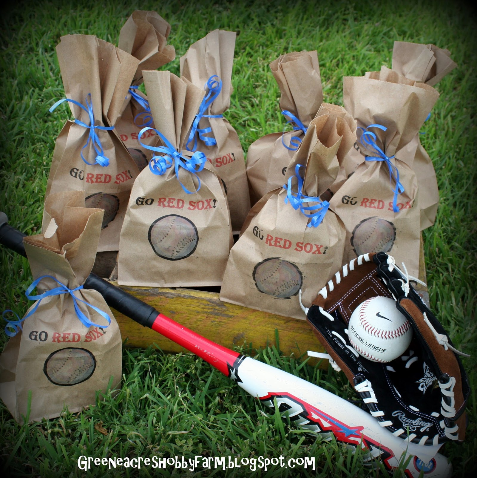 Greene Acres Hobby Farm Baseball Team Favor Sacks for Game & Party Time