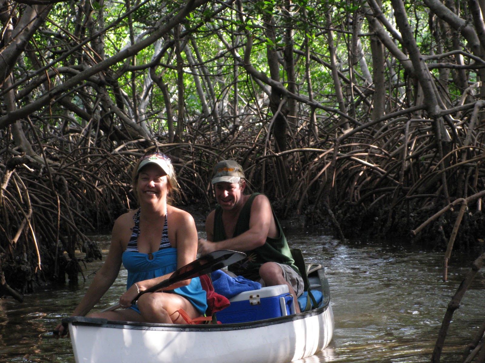 glenn716 Kayaking at Weedon Island Preserve