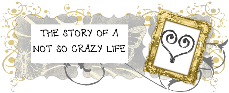The Story of a not so Crazy Life