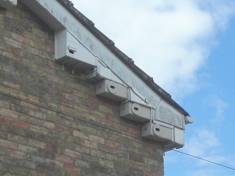 Diy house martin nest box Diy house martin nest box