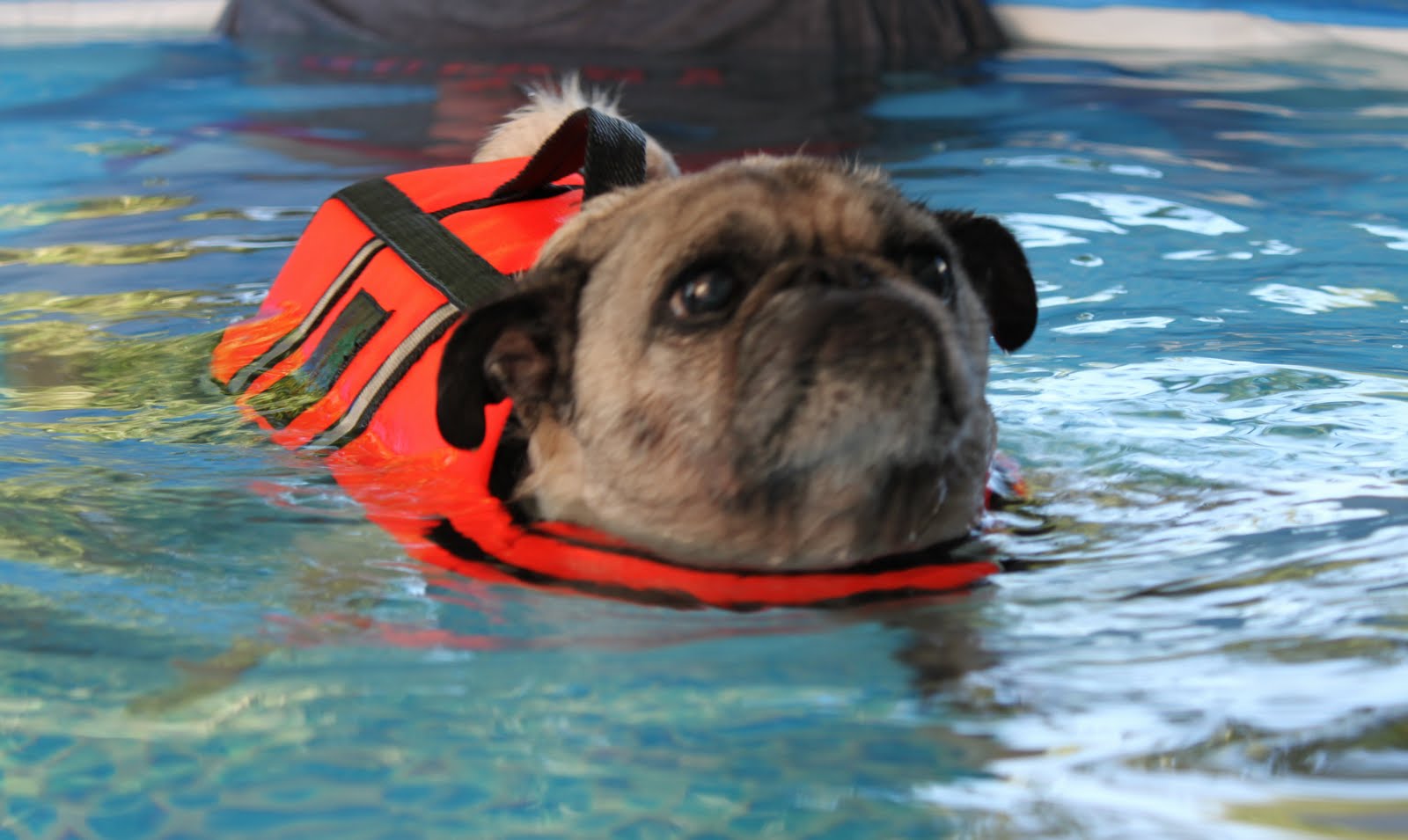 43 Reasons Why Growing Up In Florida Was Paradise On Earth