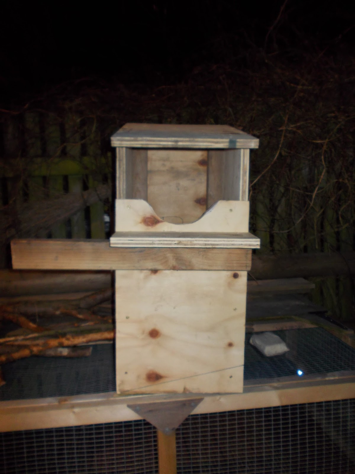 Jim and Kevs Owl Box Adventures